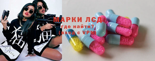 гашик Новодвинск