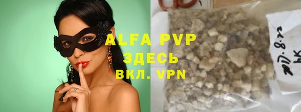 гашик Новодвинск