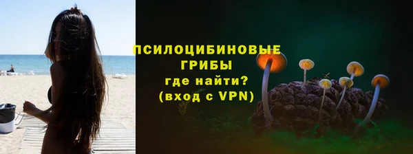 гашик Новодвинск