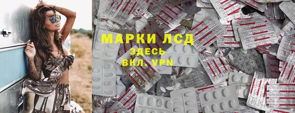 гашик Новодвинск