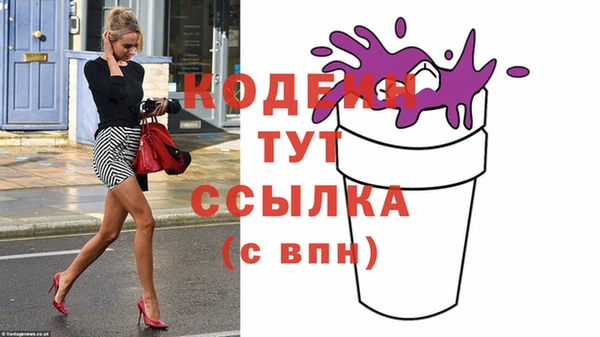 гашик Новодвинск