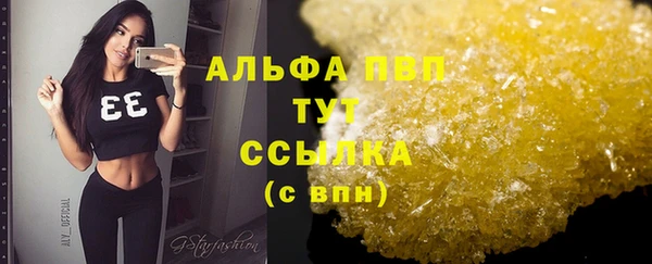 гашик Новодвинск