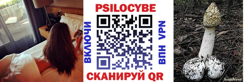 сколько стоит Пучеж Галлюциногенные грибы мицелий